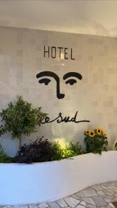 Hotels Hotel Le Sud : photos des chambres
