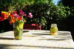 Cosy guest house with private yard