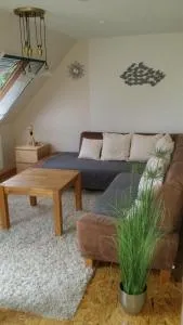 Ferienwohnung-Panoramablick - Grüsen