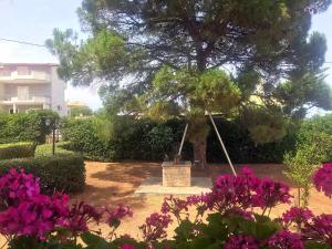 Vravrona Family House