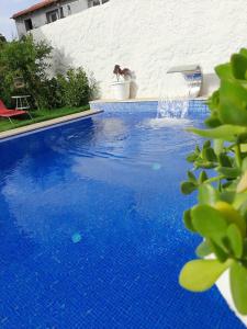 Cielo limon alacatı