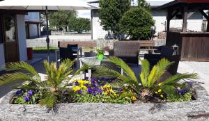 Agriturismo Ballaminut