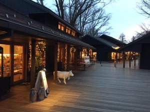 가루이자와 Angel Resort Karuizawa 4성급 숙소 로비