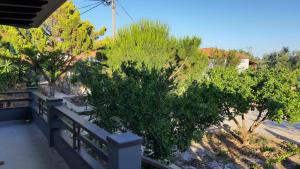 Villa Park Luxury Rooms Arkadia Greece