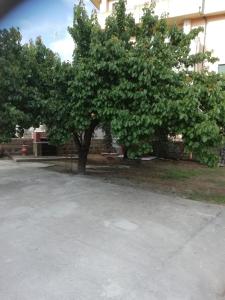 La Lenzerina Casa indipendente con giardino