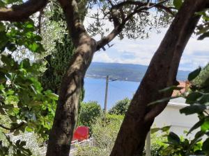 Family Nona Apartment 