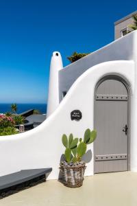 San Marino Suites by Calm Collection Santorini Greece