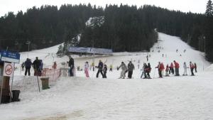 Flora Ski-slope Studio Apartment