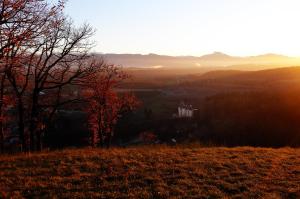 Villas Chateau de Saint-Martory : photos des chambres