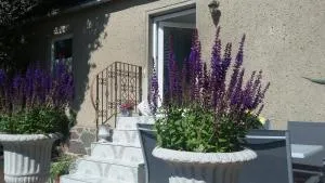 Strandhaus Mariflor - Brook