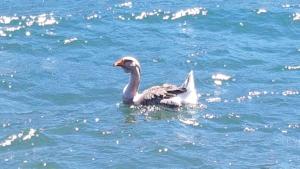 Casa vacanze Filippo