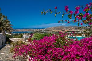 Villa Haritomeni Paros Greece