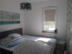 Lazurowy Apartament