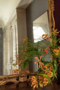 Guesthouse Maison de la Rose