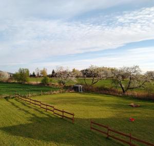 Domek w Białej - Bławatek