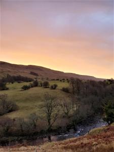 Elysian Fields @ Ing Hill Lodge