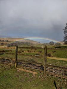 Elysian Fields @ Ing Hill Lodge