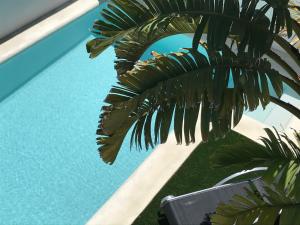 Villa Blanca Views & Pool