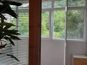 Apartment Milevi - Yablanitsa