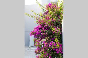 Family Maisonette with pool #1