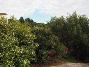 Stazzu Giasti Agriturismo img64