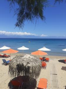 Coral Villas