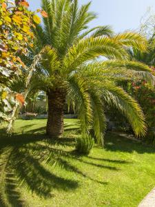 Hotels Hotel l'Amandiere : photos des chambres