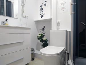 Flats Friends Plaza de la Reina