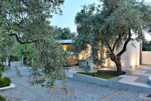 Studios Apartments Irini Patira Thassos Greece