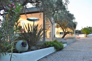 Studios Apartments Irini Patira