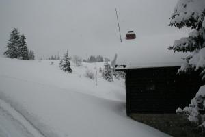 Apartmaji Snežinka Kope