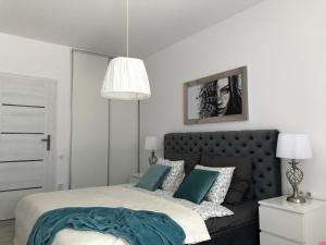 Apartament na Leśnej
