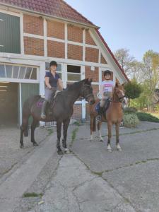 Urlaub Holthusen