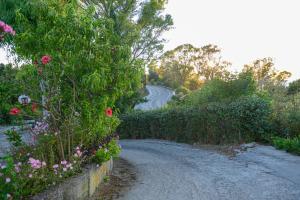 Sea Side villa Alexandra Achaia Greece