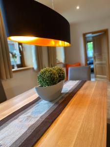 Ferienwohnung Hopfengarten