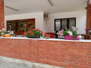 Apartman Dunja i Miloš