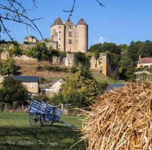 Maisons de vacances petite maison en pierre au coeur du Perigord noir : photos des chambres