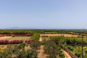 Oneiric Harmony Naxos Greece