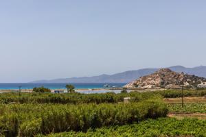 Oneiric Harmony Naxos Greece