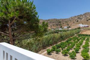 Oneiric Harmony Naxos Greece