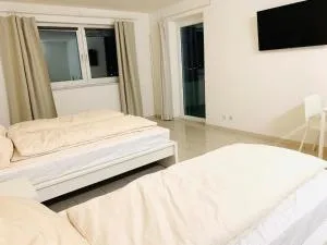 Gemütliches Zimmer 20 min vom Frankfurt HBF 1 - 德赖艾希