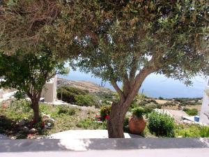 LORENZIA'S HOUSE Andros Greece