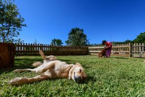 Vale do Ninho Nature Houses