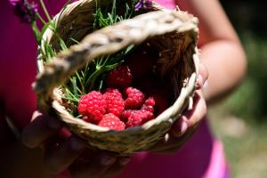 Vale do Ninho Nature Houses
