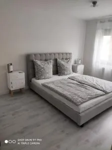 Ferienwohnungen Wilhelmshöher Allee - Kassel