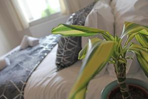 Recently Refurbished 3 Bedroom Home with Parking - Perfect for Longstays - Sleeps 8