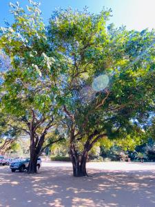 Letaba Junction Lodge