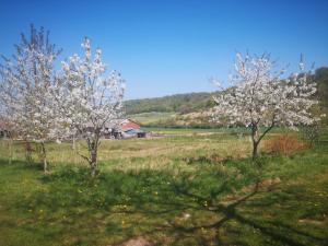 Campings Nature Monchy : photos des chambres