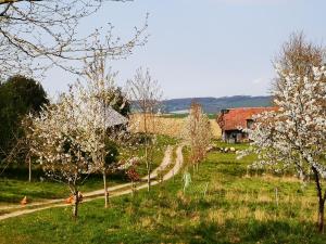 Campings Nature Monchy : photos des chambres