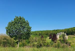 Les Chambres de Rochefort photo 9
